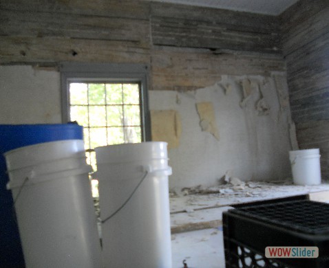 Wall paper stripped off